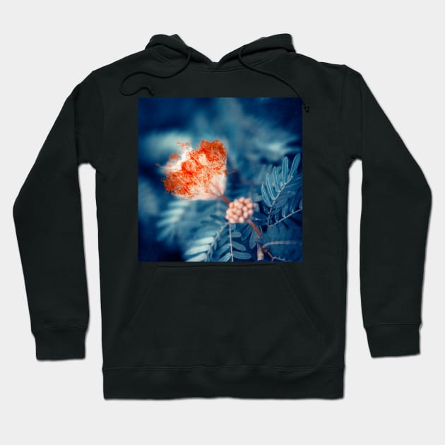 Acacia Flower Hoodie by cinema4design